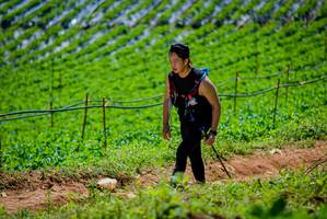 BIB: 
                            <button type="button" onclick="openModal(19164618)" class="btn btn-primary btn-sm float-right btn-popup" data-toggle="modal" data-target=".modal-high-quality">
                        <i class="fas fa-shopping-cart"></i> Add to Cart
                    </button>
                                            <button type="button" onclick="isThisMe(19164618, true)" class="btn btn-success btn-sm float-right btn-popup btn-isme hidden" data-toggle="tooltip" data-placement="bottom" title="นี่คือรูปของคุณใช่ไหม คลิกที่นี่เพื่อเอาเข้าอัลบั้ม">
                        <i class="fas fa-plus"></i> Add to album
                    </button>
                    <button type="button" onclick="isThisMe(19164618, false)" class="btn btn-warning btn-sm float-right btn-popup btn-isnotme hidden">
                        <i class="fas fa-ban"></i> Remove from album
                    </button>